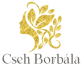 Draft Template 1 Cseh Borbála – Ultrarövid Terápiás konzultációk